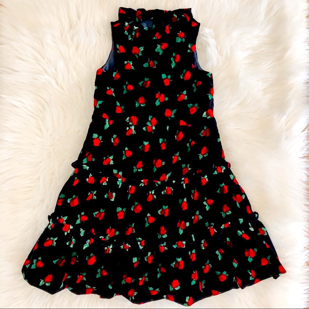 Janie And Jack Velvet Rose Christmas Dress